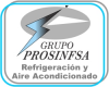 Foto de Grupo prosinfsa