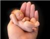 Foto de Pediatra dr. Jose enrique marquez perez
